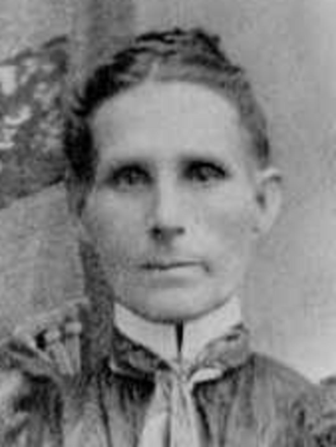 Martha Jane Shelton (1844 - 1927) Profile